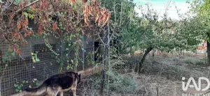 Terreny agrícola a Las Navas de Las Concepcion