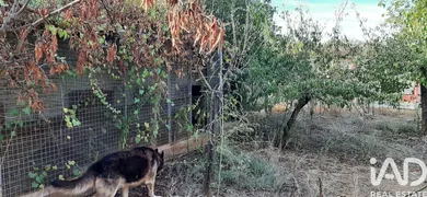 Farm land in Las Navas de Las Concepcion