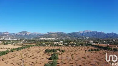 Terreny a Inca