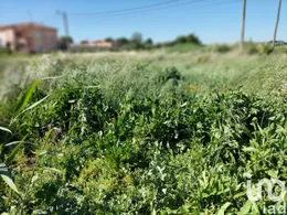 Terreno en Movera