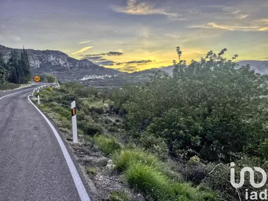 Terreny a La Vall de Laguar