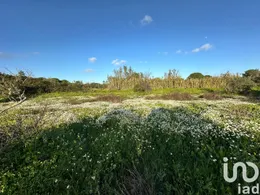Land in Villablanca
