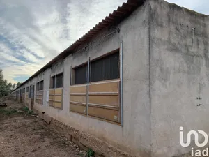 Terreny a Mas de Barberans