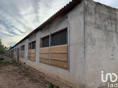 Terreny a Mas de Barberans