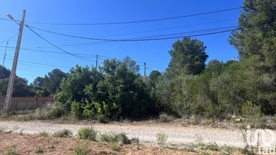 Terreny a El Montmell