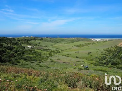 Terreny agrícola a Tarifa