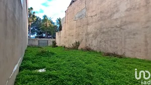 Terreny a Bellreguard Poble