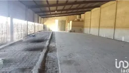 Land in Campos