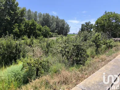 Terreny a San Millán de los Caballeros