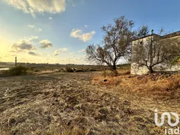 Terrain à Cartaya
