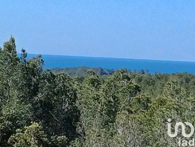 Terreny a Torredembarra