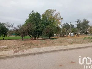 Terreny a Cañada Rosal