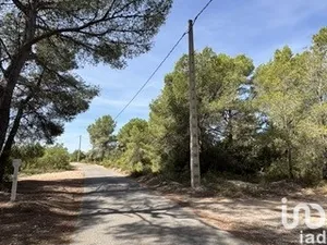 Terreny agrícola a Vallmoll