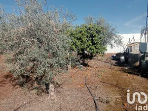 Terreny a Cañada Rosal