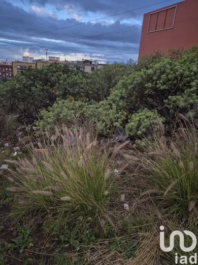 Land in El Sobradillo