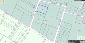 Terreny a Vila-Real/Villarreal