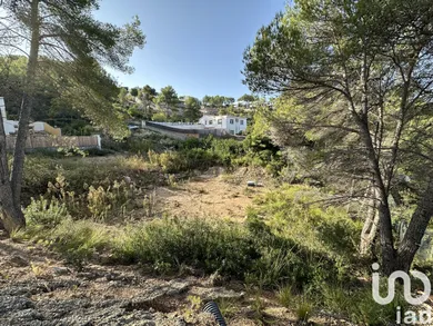 Terreny a Sant Pere de Ribes