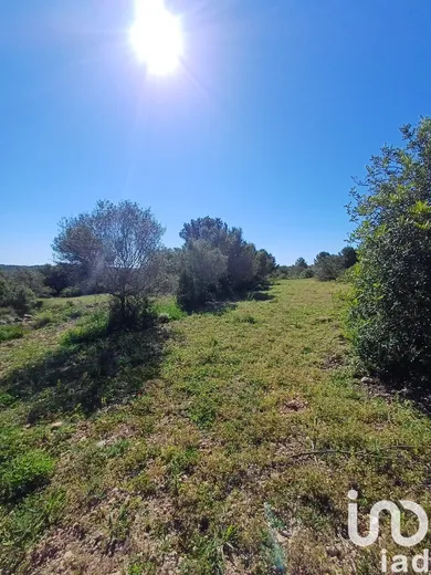 Terreny a Torredembarra