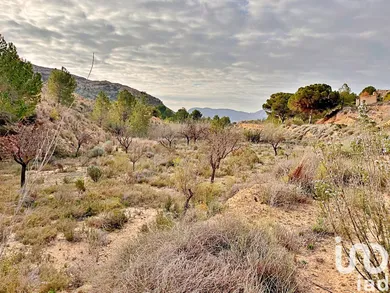 Terreno en Agost