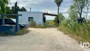 Casa de pagès a Amposta