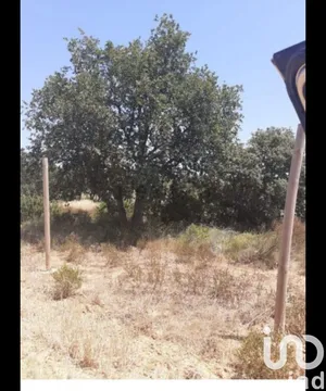 Terreny agrícola a Vilanova de La Muga