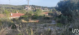 Terreny a Tarragona