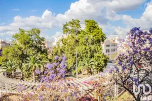 Pis a Palma de Mallorca