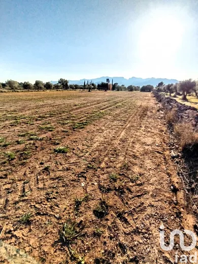 Terreno en Ginestar