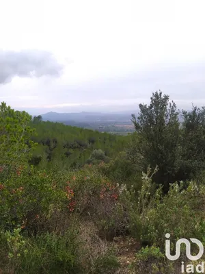 Terrain à Ginestar