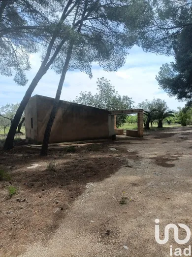 Terreny a El Perelló