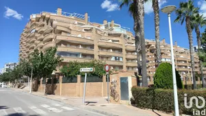 Pis a Oropesa/Oropesa del Mar