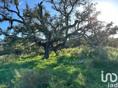 Terreny a Villablanca