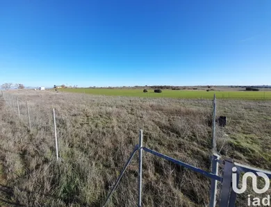 Terreny a Los Santos de la Humosa