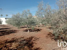 Terreno en Cañada Rosal