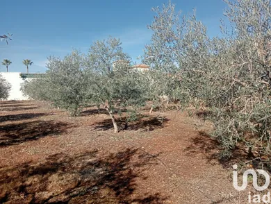 Terreny a Cañada Rosal