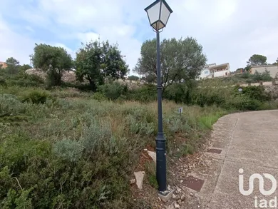 Terrain à Vinaros