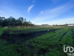 Terreny a Vilanova de Arousa