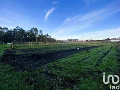Terreny a Vilanova de Arousa