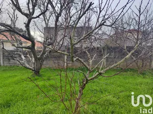 House in A Ribeira