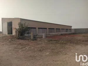 Land in Campos