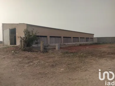Land in Campos