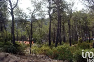 Land in Olivella