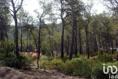 Terreno en Olivella