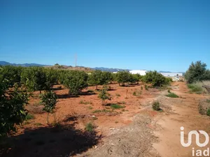 Terreny a Vila-Real/Villarreal