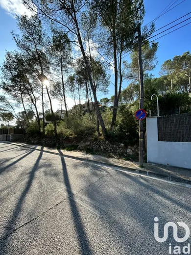 Terreny a Olivella