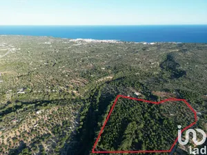 Terreny a L'Ametlla de Mar