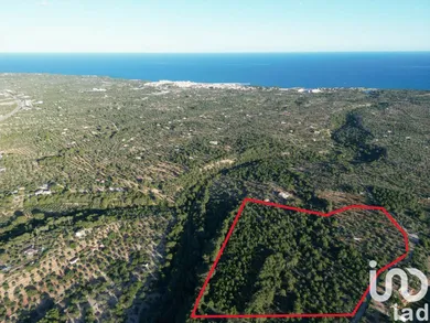 Terreny a L'Ametlla de Mar