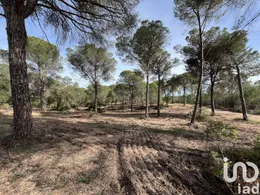 Terrain à Villablanca