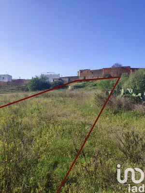 Terreny a La Canonja