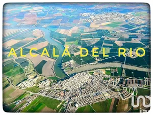 Terreny a Alcalá del Río